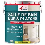 Peinture salle de bain mur plafond condensation jaune soufre ral 1016 2. 5 l
