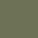 Peinture salle de bain mur plafond condensation vert jonc ral 6013 10 l Peinture salle de bain mur plafond condensation vert jonc ral 6013 10 l