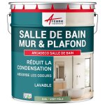 Peinture salle de bain mur plafond condensation vert p�le - ral 6021 2. 5 l