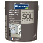 Peinture sol couleur 2, 5l - gris moyen blanchon