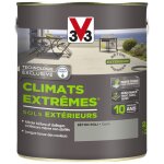Peinture v33 climats extrmes sol bton poli 2, 5l