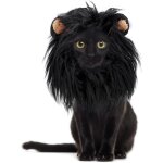 Perruque pour animaux de compagnie, couvre - chef en poils de chien et de chat, costume de cosplay pour ...
