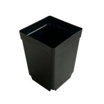 Petits pots de fleurs jetables pour plantes, carr�s noirs, en plastique, coupe de semis, 100 pi�ces