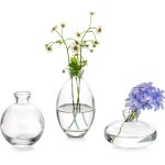 Petit vase verre fleur decoratif: 3pcs / ensembles transparent vintage mini vase aesthetic etroit pot ...