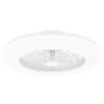 Philips plafonnier ventilateur amigo 42 + 20 w