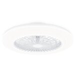 Philips plafonnier ventilateur amigo 42 + 20 w