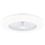 Philips plafonnier ventilateur amigo 60 + 25 w
