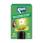 Pige  mouches des fruits kapo