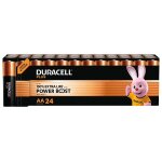 Pile plus powerboost aa x24 paniere