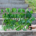 Piquets de jardin en bois, simulation de barrire de scurit, cadre d'escalade, plantes de jardin en ...
