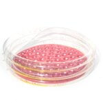 Piscine gonflable d'été pour enfants, jouet de pataugeoire pour enfants, bassin rond, baignoire portable, ... Piscine gonflable d'été pour enfants, jouet de pataugeoire pour enfants, bassin rond, baignoire portable, ...