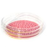 Piscine gonflable rectangulaire en pvc pour enfants, baignoire de pataugeoire paisse, sports d'intrieur, ...