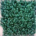 Plaque artificielle de thuya dor� jet7garden