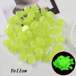 Pochoir de charbon brcorporelle dans la nuit, dcoration de jardin, alles extrieures, pelouse, chemin ...