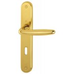 Poign�es sur plaques cl� i - laiton poli - roissy hoppe