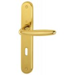 Poign�es sur plaques condamnation - laiton poli - roissy hoppe