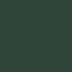 Pok bois : peinture bois glycro microporeuse intrieur extrieur 2, 5l - ral 6005 vert mousse