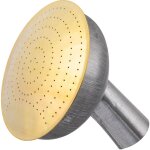 Pomme d'arrosoir en acier galvanis� grille en laiton