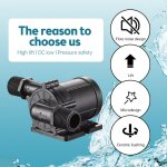 Pompe  eau submersible dc 24 v 180 degrs mini pompe  immersion  faible bruit moteur sans balais de ...