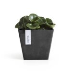 Pot carré rotterdam 20 gris foncé - 20 x 20 x h. 17, 5 cm - 5, 2 l Pot carré rotterdam 20 gris foncé - 20 x 20 x h. 17, 5 cm - 5, 2 l
