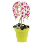 Pot de fleurs - botle - lofly - � 40 cm - plastique - vert lime