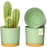 Pots de fleurs de 16, 5cm, jardini�res modernes avec trous de drainage et soucoupe d�tachable, pots de ...