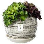 Pot de fleur blanc essuy� avec soucoupe rond dimensions 110 mm x 100 mm surface brillant c�ramique glamour ...