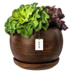Pot de fleur bois sombre avec soucoupe rond dimensions 110 mm x 100 mm surface mat c�ramique glamour ...