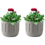 Pot de fleurs en c�ramique - pour l'int�rieur - texture mate - pour plantes succulentes - petit pot de ...
