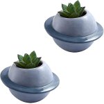 Pots de fleurs c�ramique succulentes - lot 2 - mini plan�te - bleu
