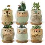 Pots de fleurs en forme de hibou de 6, 35 cm, petits pots pour plantes succulentes, avec accessoires, ...