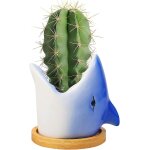Pot de fleurs d'intrieur en cramique - requin