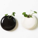 Pots fleurs muraux c�ramique - lot 2 mini blanc / noir - d�coration