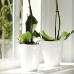 Pot de fleurs pour orchides elho brssel blanc 13cm - modle elgant et haut