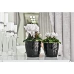 Pot de fleurs, pot de plantes en plastique, lot de 2, forme ronde, cache - pot (14 cm, blanc)