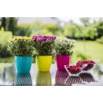 Pot de fleurs, pot de plantes en plastique, lot de 2, forme ronde, cache - pot (noir,  20 cm)