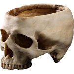 Pot de fleurs en rsine en forme de tte de mort pour halloween, bol de plantes multifonctionnel pour ...