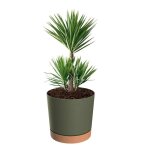 Jardini�re ronde - botle - Ø 30 cm - h 28 cm - 14. 5 l - vert mat