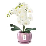 Pot de fleur rose avec soucoupe rond dimensions 170 mm x 160 mm surface brillant c�ramique glamour moderne ...