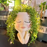 Pot de fleurs solaire pour le visage, la tte de plantes succulentes - avec led solaire rsine etanche ...
