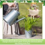 Pot de fleurs avec visage, pot fleur balan�oire, pots de succulentes visage souriant, pots de jardini�re ...