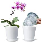 Pots a orchide en plastique transparent de 10, 2 cm avec trous - 2 pots intrieurs, 2 pots extrieurs, ...