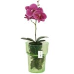 Pot a orchid�e en verre d 15. 5cm h 18cm vert toile d'araign�e large