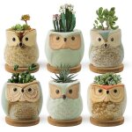 Pots plantes succulentes hibou - 6, 5cm petites plantes - mignon accessoires