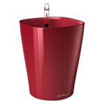 Pot de table deltini - kit complet, rouge scarlet brillant � 14 x 18 cm
