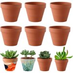 Pot terre cuite, 6 pices 10cm pots en terre cuite avec trou dvacuation, petit pot de fleur, pot de ...