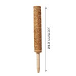 Poteau de plantes grimpantes d'intrieur, support de plante, cadre de plante grimpante, sphaigne, mousse, ...