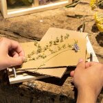 Presse fleurs herbes bois naturel