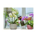 Pulvérisateur à pompe 0. 75 l gardena 11110 - 30 1 pc(s) Pulvérisateur à pompe 0. 75 l gardena 11110 - 30 1 pc(s)