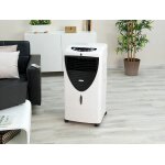 Rafraîchisseur d'air a evaporation 150 w / 20 l avec fonctions oscillation et ioniseur lw - 530 Rafraîchisseur d'air a evaporation 150 w / 20 l avec fonctions oscillation et ioniseur lw - 530